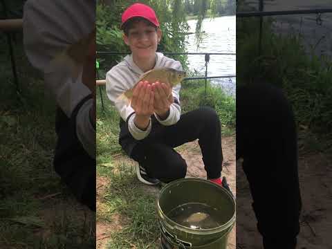 Натягнули карасів