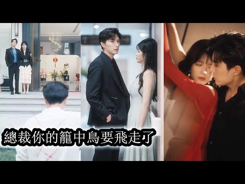 她帶著滔天恨意接近權勢滔天的總裁卻始終找不到報復的突破口，直到有一天她巧妙佈局將總裁和他兄弟玩弄於股掌之間，冷眼看著他們為她反目成仇，才真正嚐到復仇的快意與掌控的滿足！