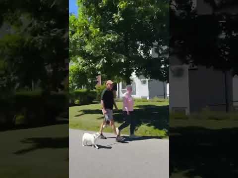 What is life ! What Is Life? A Short Film That Will Change How You See Everything #india