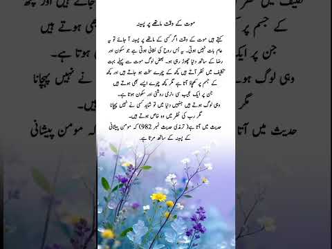 #islamic #status #video #deeneislam #islamicquotes #shortsvideo #shortsfeed #shorts