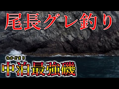 高知県の釣り師まっつんの最新動画 Youtubeランキング