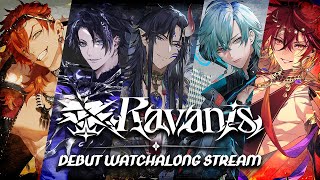 【#Ravanis】Debut Watchalong Stream with #Avallum