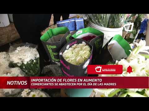 Comerciantes preparan venta de flores para Día de las Madres