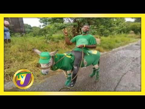 Election Day Outfit: TVJ Smile Jamaica - September 4 2020
