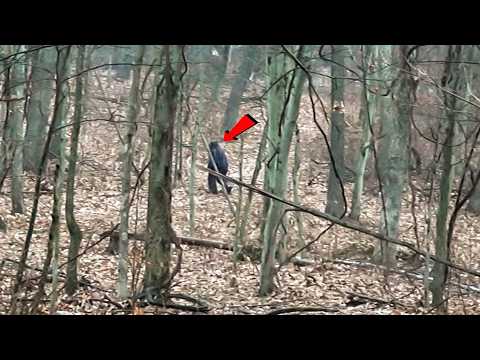 The Most Convincing Sasquatch Story