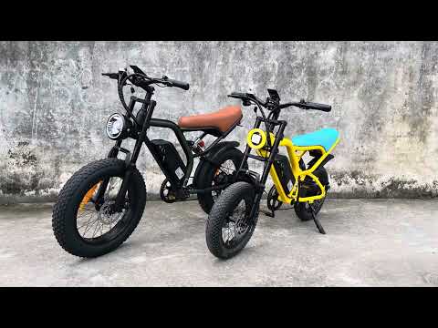 Electric bicycle Rooder cb02 48v 500w 45km/h for adults wholesale price for sale