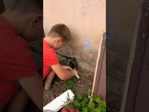 Наш мастер #блогер #blogger #shorts