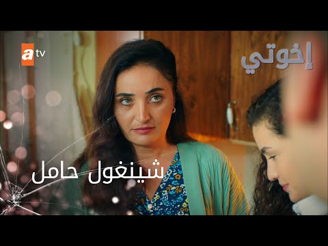 شينغول حامل - إخوتي - الموسم الثالث