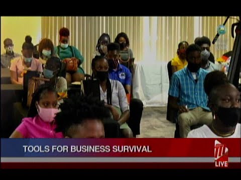 Mentorship And Counselling Programme For Young Tobago Entrepreneurs