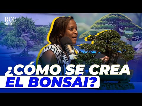 ENDY SEVERINO, SU INCREÍBLE HISTORIA DE VIDA Y EL BONSAI