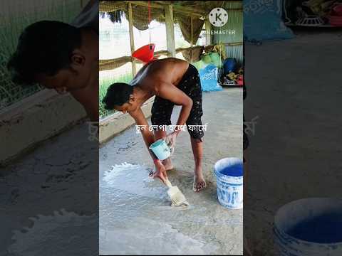 🛖চুন আর ব্লিচিং দিয়ে ফার্মের জীবনুমুক্তকরণ🌿#shorts#shortvideo #shortsfeed #birds #farming #pets
