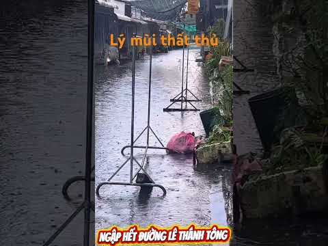 Lý mùi thất thủ