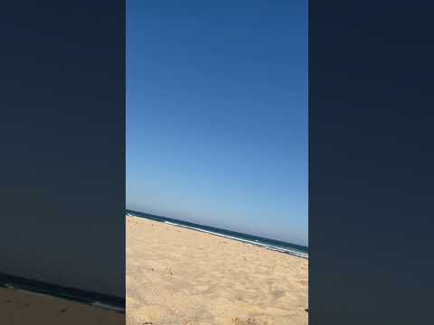 My amazing life at Wanda Beach NSW