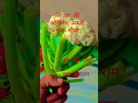 #rajupunjabi #hariyanvisong #villagelife #dasi #haryanvilover