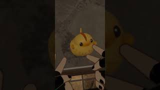 Creo que ahora soy papá de un pollito 🐣🫧