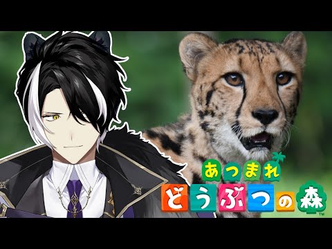 【あつまれどうぶつの森 】金曜のチル森【影山シエン/ホロスターズ 】
