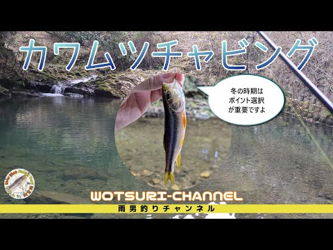 カワムツチャビング☆冬はポイント選択が重要なんです