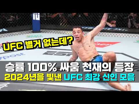 전세계를 깜짝 놀라게 한 승률 100% 싸움 천재!!? 2024년을 빛낸 UFC 최강 신인들 ㄷㄷ