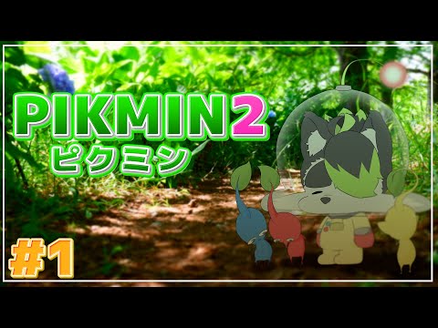 thumbnail_5UljTvN2CcA