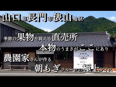 長門市【津田農園】さんに行ってきました♬