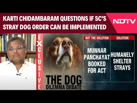 SC Order On Stray Dogs | Karti Chidambaram Questions If Stray Dog Order Can Be Implemented