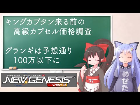 【PSO2NGS】キングカプタン前お値段チェック　緩和されたグランギは100万以下に【えりにゃんちゃんねる】