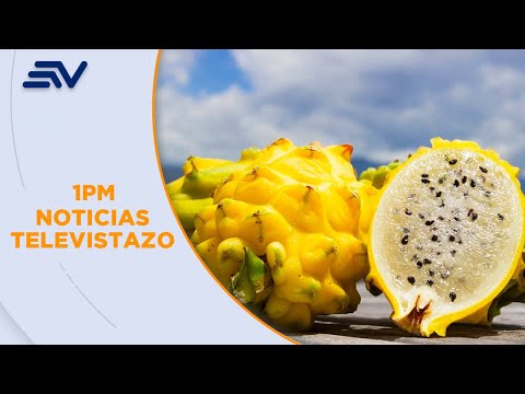 Exportaciones de Pitahaya en Ecuador rompieron récord histórico en ventas | Televistazo | Ecuavisa