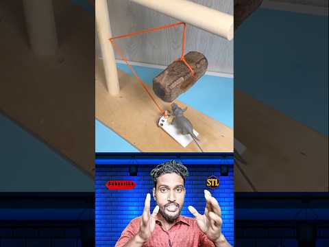 পৃথিবীর সবচেয়ে ভয়ানক ইঁদুর ধরার ফাঁদ 😱 #youtubeshorts #viralvideo #trendingnow #samtheloser