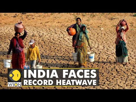 🌎Northern parts of India face cases of Vector-borne disease due to record heatwave | WION