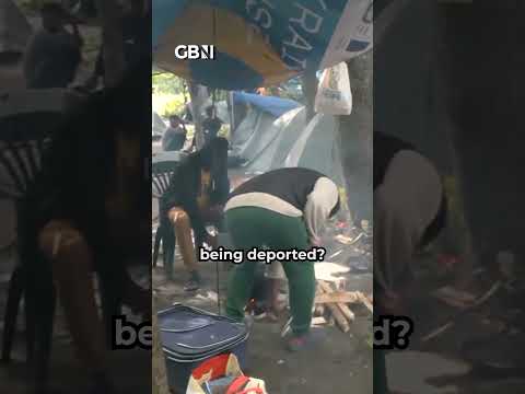 Patrick Christys confronts migrants in Calais camp before they make Channel crossing