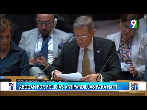 Canciller dominicano pide a élites haitianas para restablecer la paz/ Emisión Estelar SIN