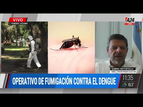 Operativo de fumigación contra el dengue: Los casos graves se asocian a otras afecciones