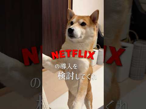 頑張ってお願いする犬のおまわりさん