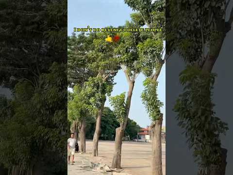 🤙💯 #shorts #youtube #youtubeshorts #shortscreater #shortscontent