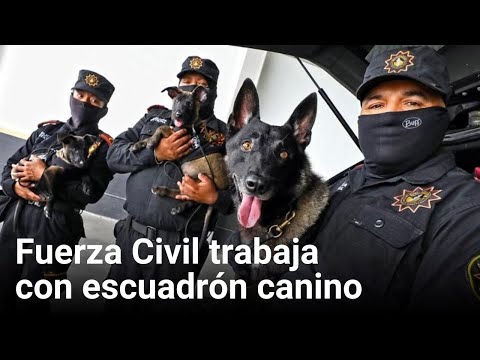 Fuerza Civil trabaja con escuadrón canino