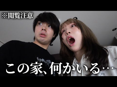 【心霊】撮影途中にとんでもない事態が起こりました…引越し直前の深夜2時､ ヤバすぎる心霊現象。全てをお見せします。