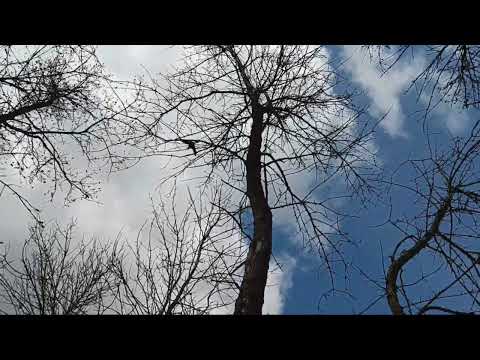 I'm trying to get a few pictures & I see this.