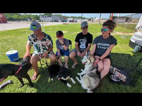 Racing 4 Rescues with Saints Elsewhere Pet Rescue https://www.facebook.com/share/1AR2YYpWC5/

make donations here. 

#lifeisbutadream #aquarium #aquar