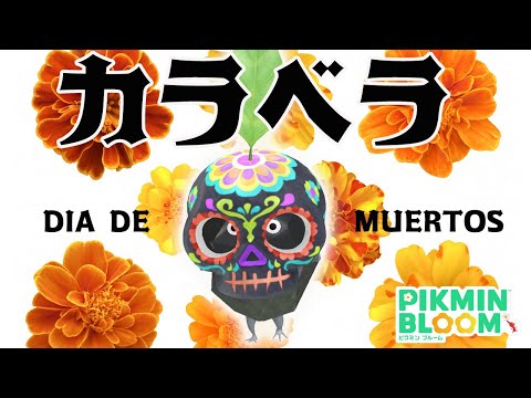 ガイコツをかぶった可愛いピクミン！カラベラデコのイベントスタート【ピクミンブルーム/PikminBloom】
