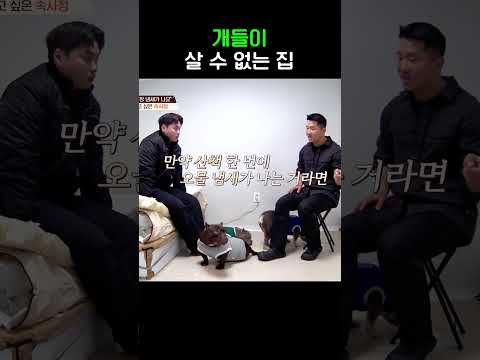 강형욱의 쓴소리 #개와늑대의시간2 #shorts