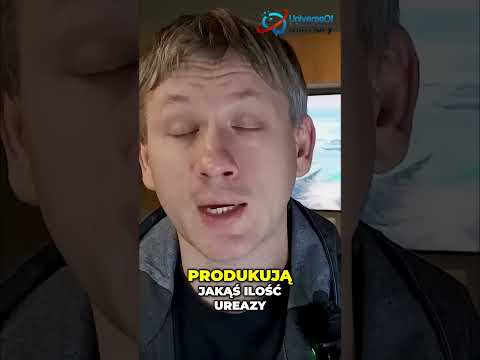 Helicobacter Pylori: Ureaza a Wykrywanie Infekcji - Kluczowe Fakty