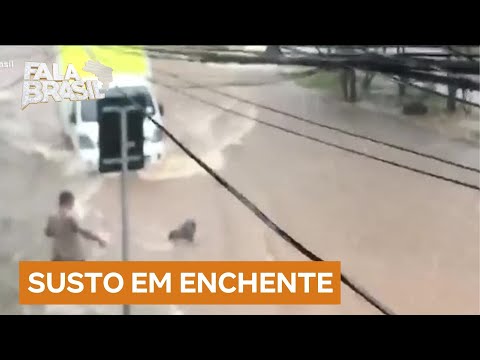 Flagrante emocionante: cachorro é resgatado de enchente em Osasco, SP