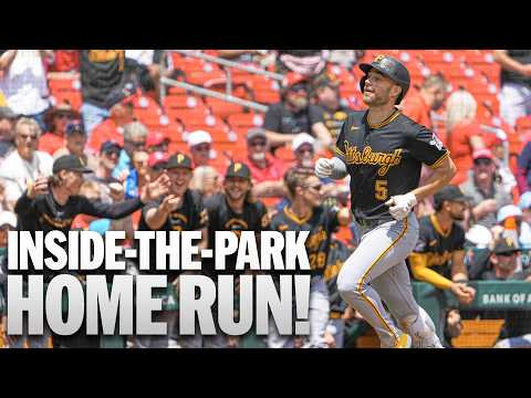 INSIDE-THE-PARK home run for Brandon Lowe! ‍ | MLB 하이라이트 (피츠버그 파이리츠 vs 세인트루이스 카디널스)