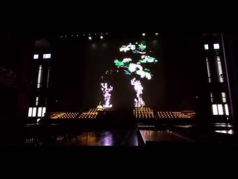 Dancing Lights #China #cultural #shorts #shortsvideo