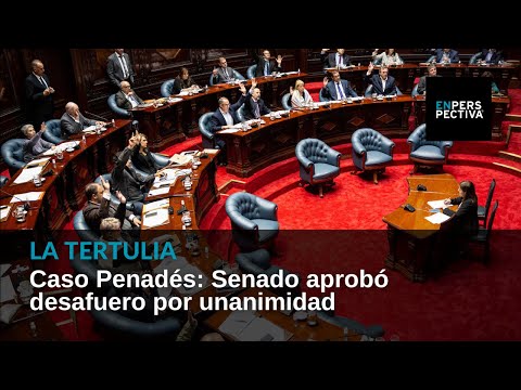 Caso Penadés: Senado aprobó desafuero por unanimidad