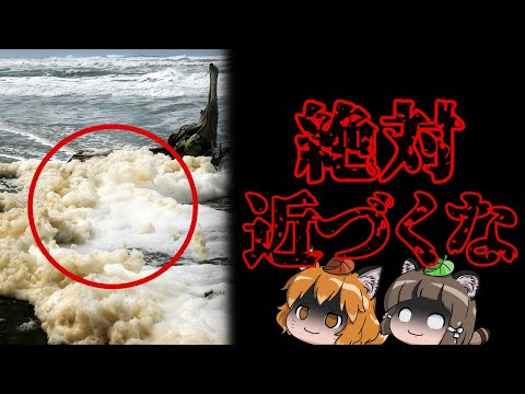 【危険】ビーチを覆う