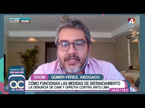 Algo Contigo - Gúmer Pérez sobre la denuncia de Urrutia y Rajchman contra Anto Lima