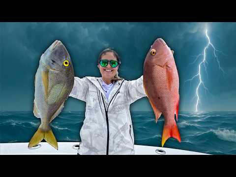 Fisherman’s nightmare: caught in rough and stormy seas!! Catch, clean, cook! video thumbnail