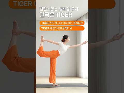 밸런스 있는 월배당 투자, 결국은 TIGER🐯🧡