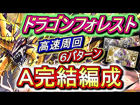 【チュアンは絶対に確保】ドラゴンフォレスト 高速周回編成を6パターンご紹介!!列強盛り盛りの強キャラを入手しよう!!【パズドラ】